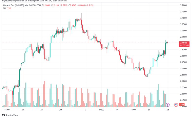تحليل الغاز الطبيعي NATURAL GAS 24-10-24