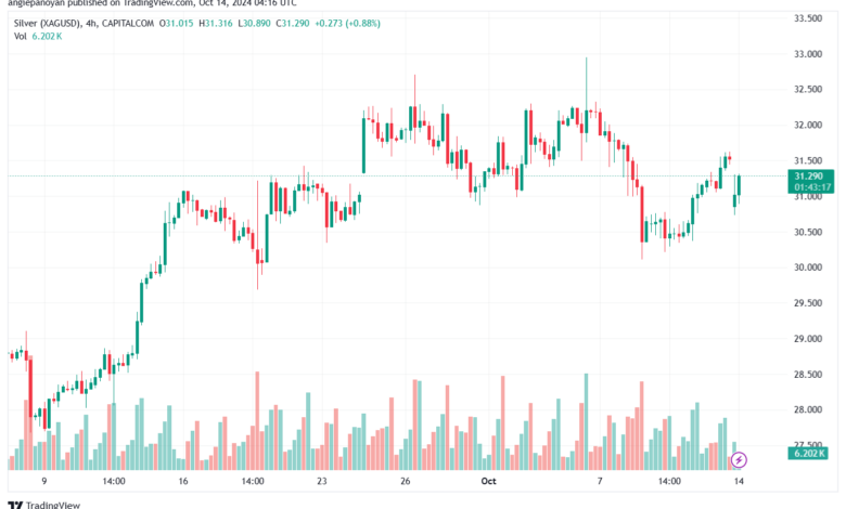 تحليل الفضة 14-10-2024 SILVER XAGUSD