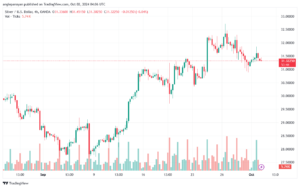 تحليل الفضة 2-10-2024 SILVER XAGUSD