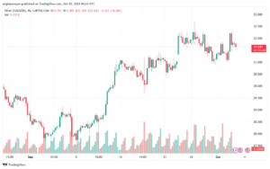 تحليل الفضة 3-10-2024 SILVER XAGUSD