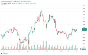 تحليل النفط CRUDE OIL -24-10-2024