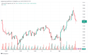 تحليل النفط CRUDE OIL -9-10-2024