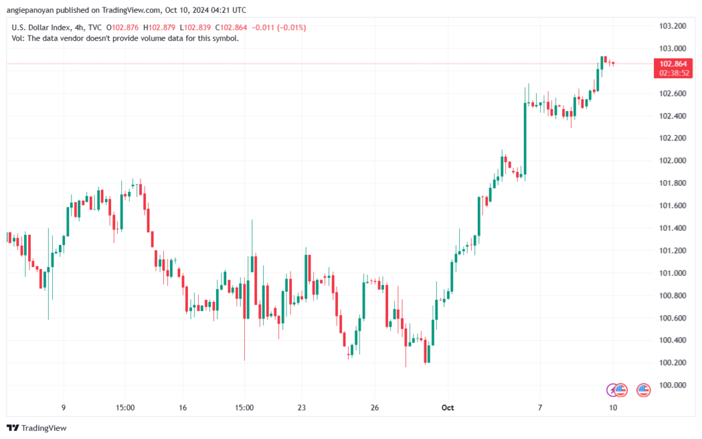 تحليل مؤشر الدولار الامريكي- Dollar Index (DXY)-10102024