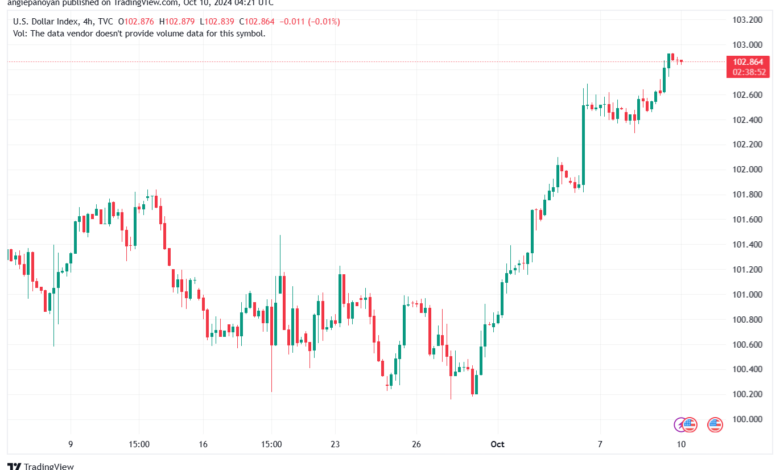 تحليل مؤشر الدولار الامريكي- Dollar Index (DXY)-10102024