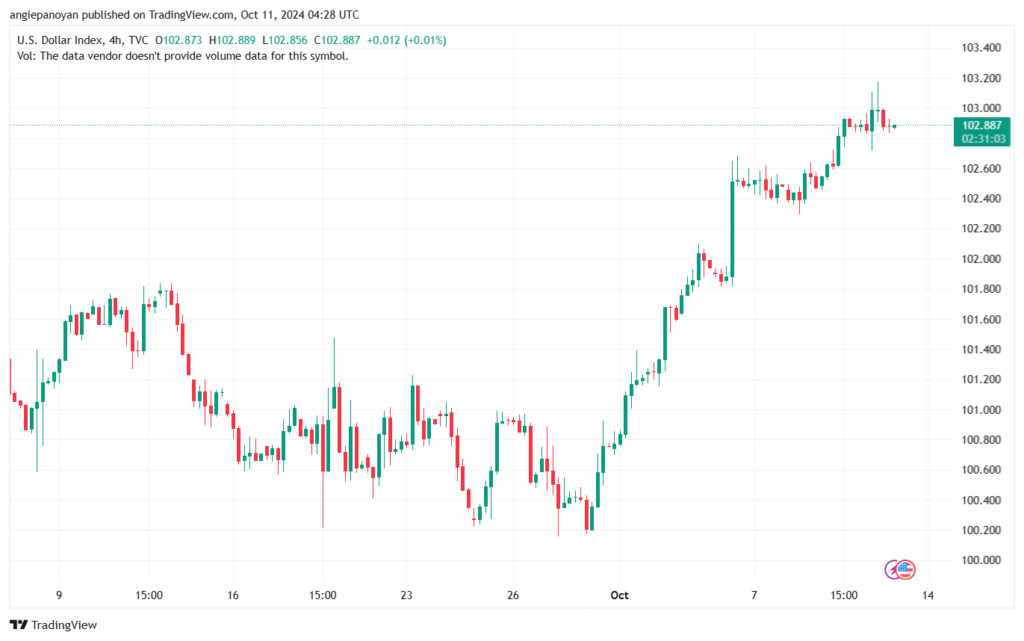 تحليل مؤشر الدولار الامريكي- Dollar Index (DXY)-11102024