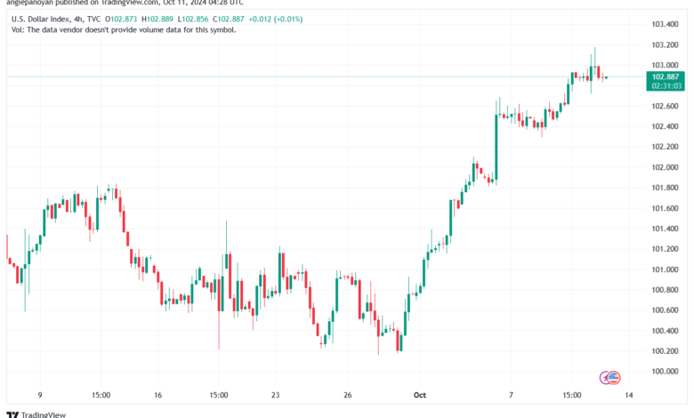 تحليل مؤشر الدولار الامريكي- Dollar Index (DXY)-11102024