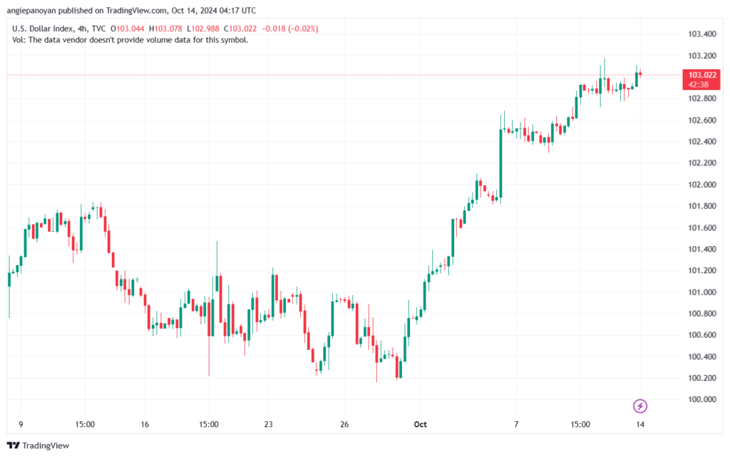 تحليل مؤشر الدولار الامريكي- Dollar Index (DXY)-14102024