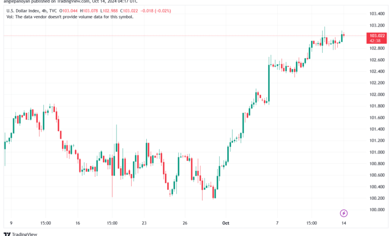 تحليل مؤشر الدولار الامريكي- Dollar Index (DXY)-14102024