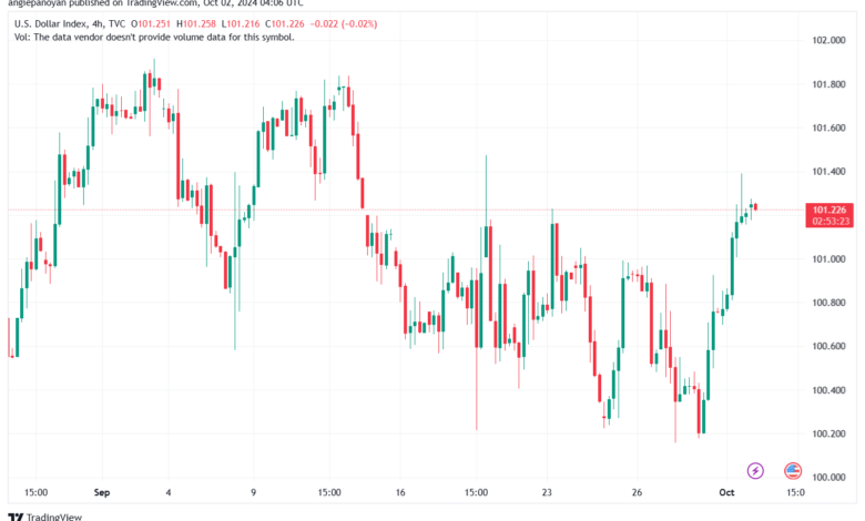 تحليل مؤشر الدولار الامريكي- Dollar Index (DXY)-2102024
