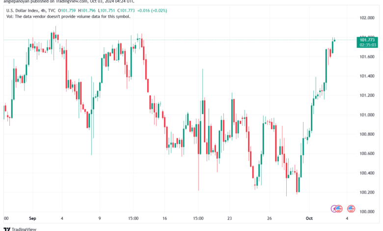 تحليل مؤشر الدولار الامريكي- Dollar Index (DXY)-3102024