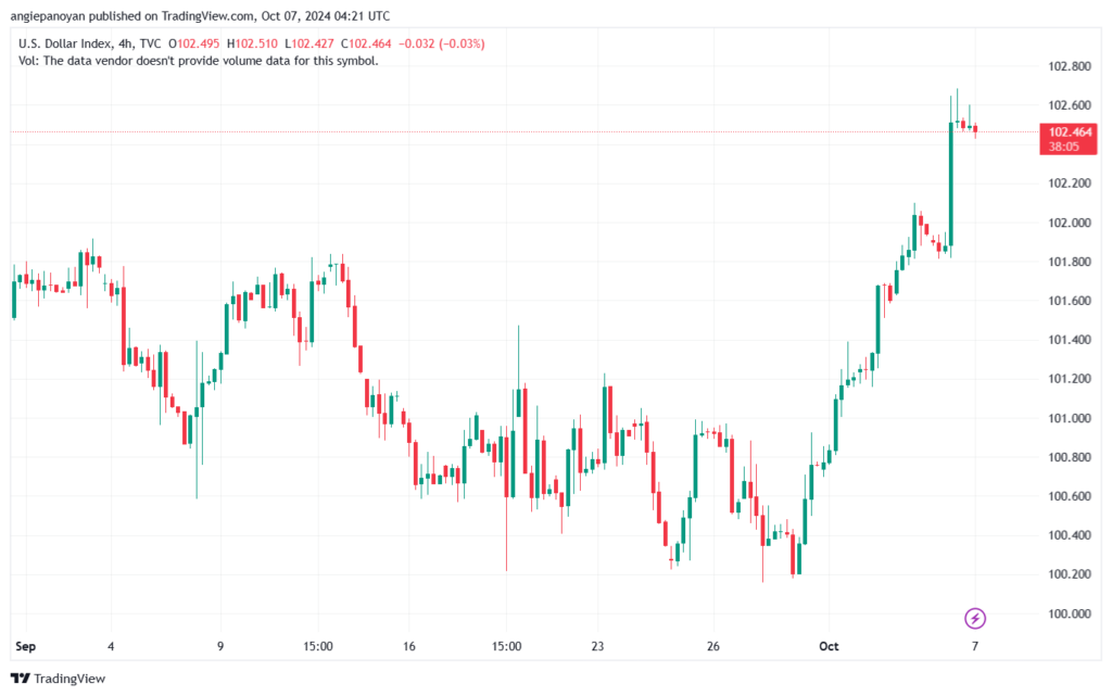 تحليل مؤشر الدولار الامريكي- Dollar Index (DXY)-7102024