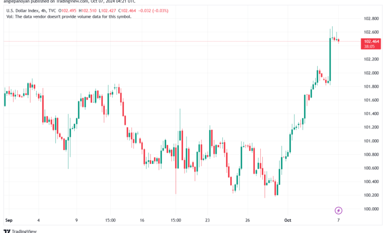 تحليل مؤشر الدولار الامريكي- Dollar Index (DXY)-7102024