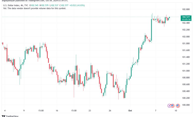 تحليل مؤشر الدولار الامريكي- Dollar Index (DXY)-9102024