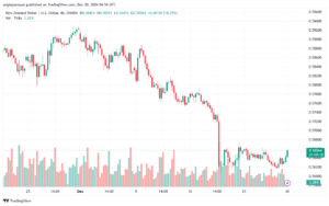 تحليل-NZDUSD-30-12-2024