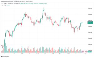 تحليل-USDCHF-11-12-2024