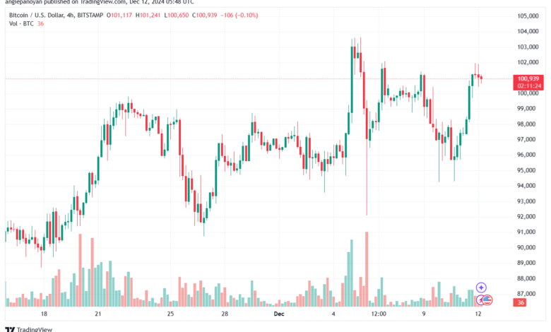 تحليل البتكوين دولار BTCUSD-12-12-2024