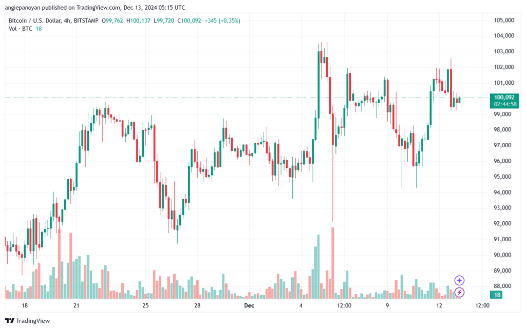 تحليل البتكوين دولار BTCUSD-13-12-2024