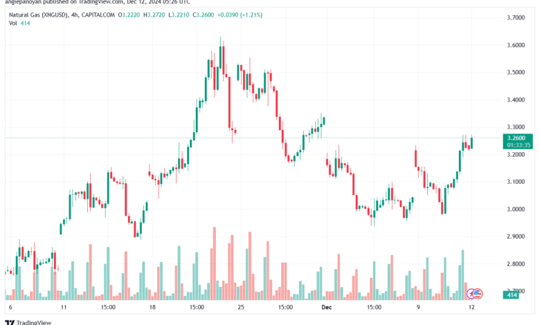 تحليل الغاز الطبيعي NATURAL GAS 12-12-24