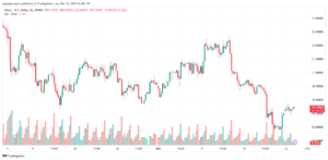 تحليل الفضة 24-12-2024 SILVER XAGUSD