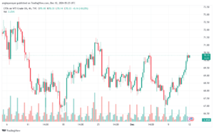 تحليل النفط CRUDE OIL -12-12-2024