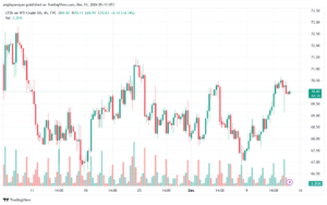 تحليل النفط CRUDE OIL -13-12-2024