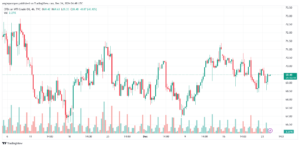 تحليل النفط CRUDE OIL -24-12-2024