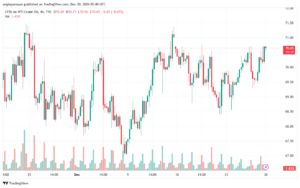 تحليل النفط CRUDE OIL -30-12-2024