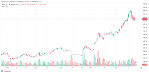 تحليل سهم تسلا الفني TSLA-24-12-2024
