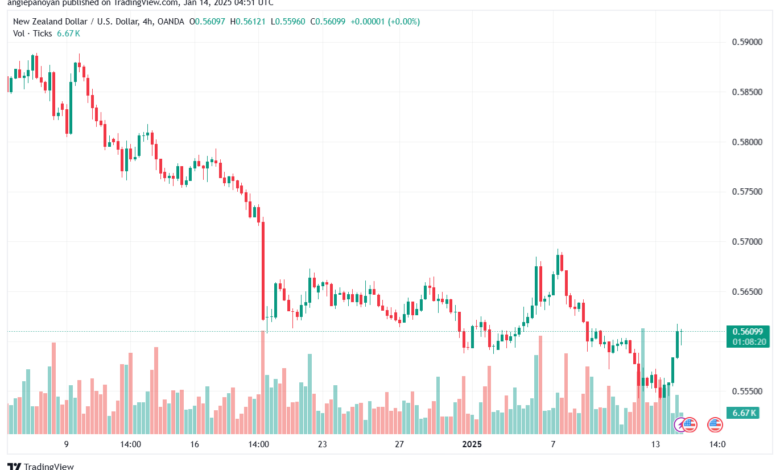 تحليل-NZDUSD-14-1-2025