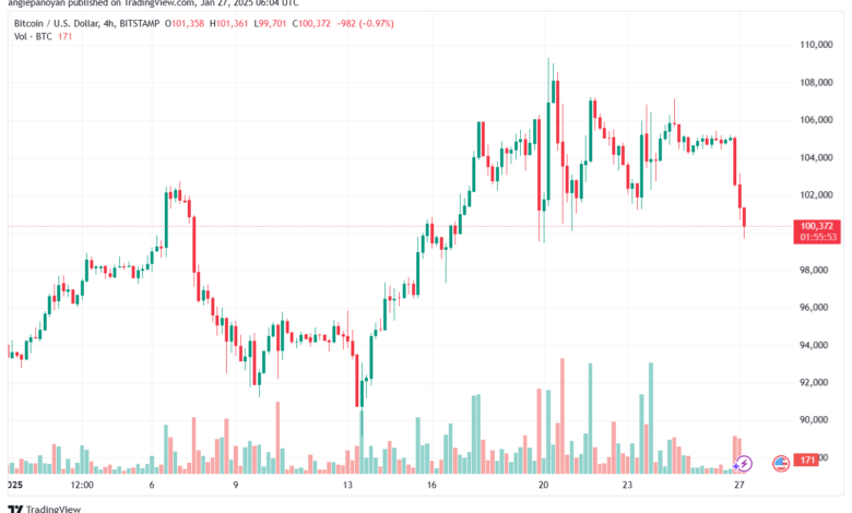 تحليل البتكوين دولار BTCUSD-27-1-2025