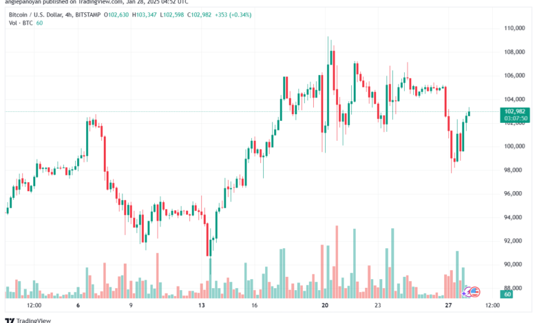 تحليل البتكوين دولار BTCUSD-28-1-2025