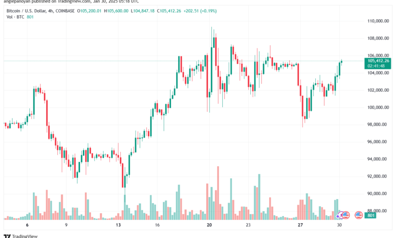 تحليل البتكوين دولار BTCUSD-30-1-2025