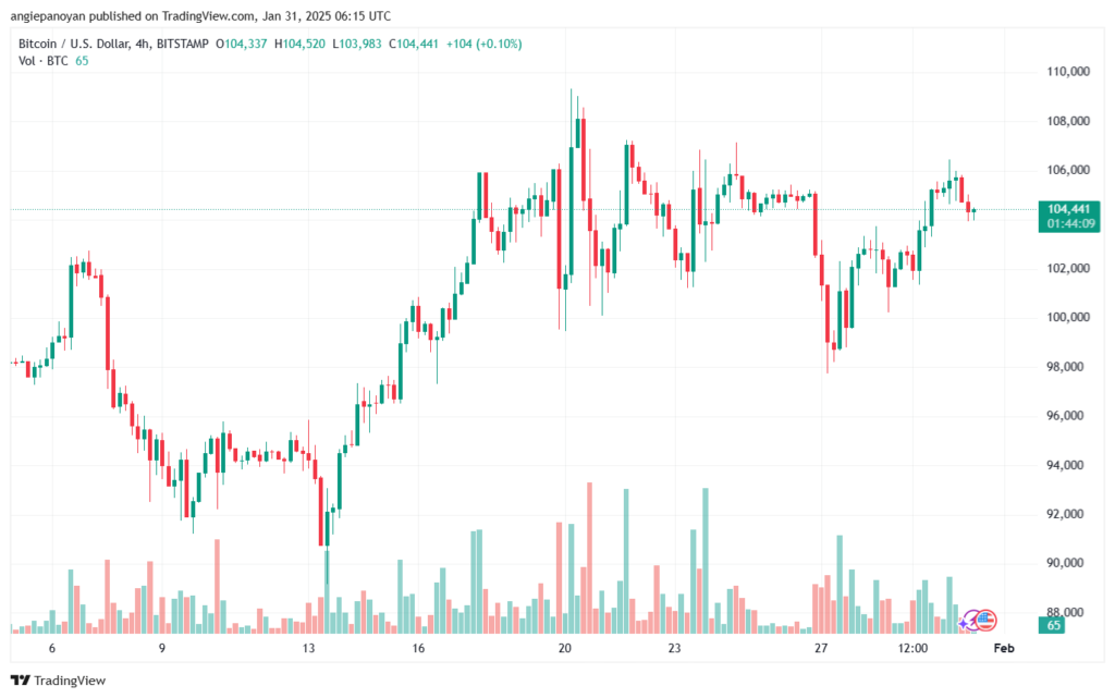 تحليل البتكوين دولار BTCUSD-31-1-2025