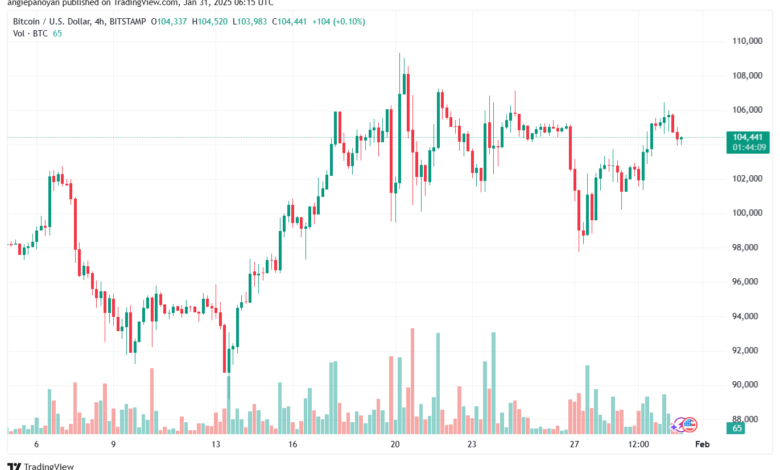 تحليل البتكوين دولار BTCUSD-31-1-2025