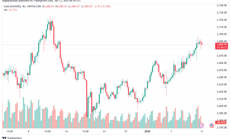 تحليل الذهب-XAUUSD-13-1-2025