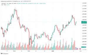 تحليل الذهب-XAUUSD-14-1-2025