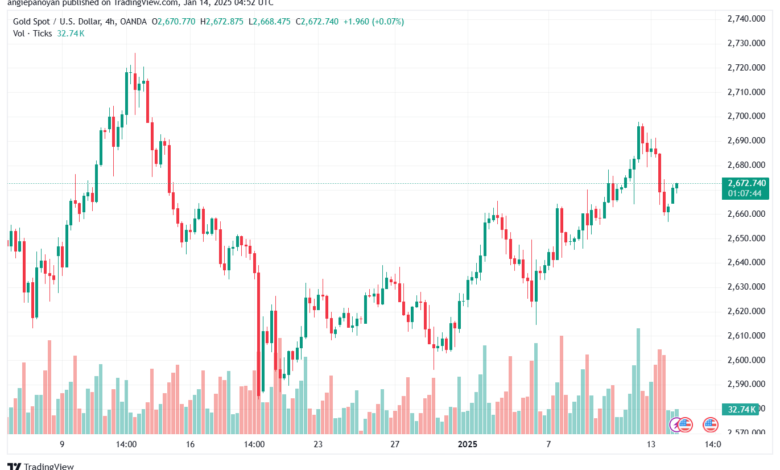 تحليل الذهب-XAUUSD-14-1-2025