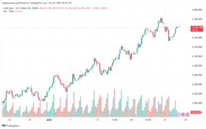 تحليل الذهب-XAUUSD-29-1-2025