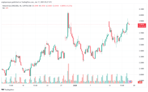 تحليل الغاز الطبيعي NATURAL GAS 17-1-2025