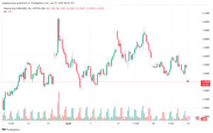 تحليل الغاز الطبيعي NATURAL GAS 27-1-2025