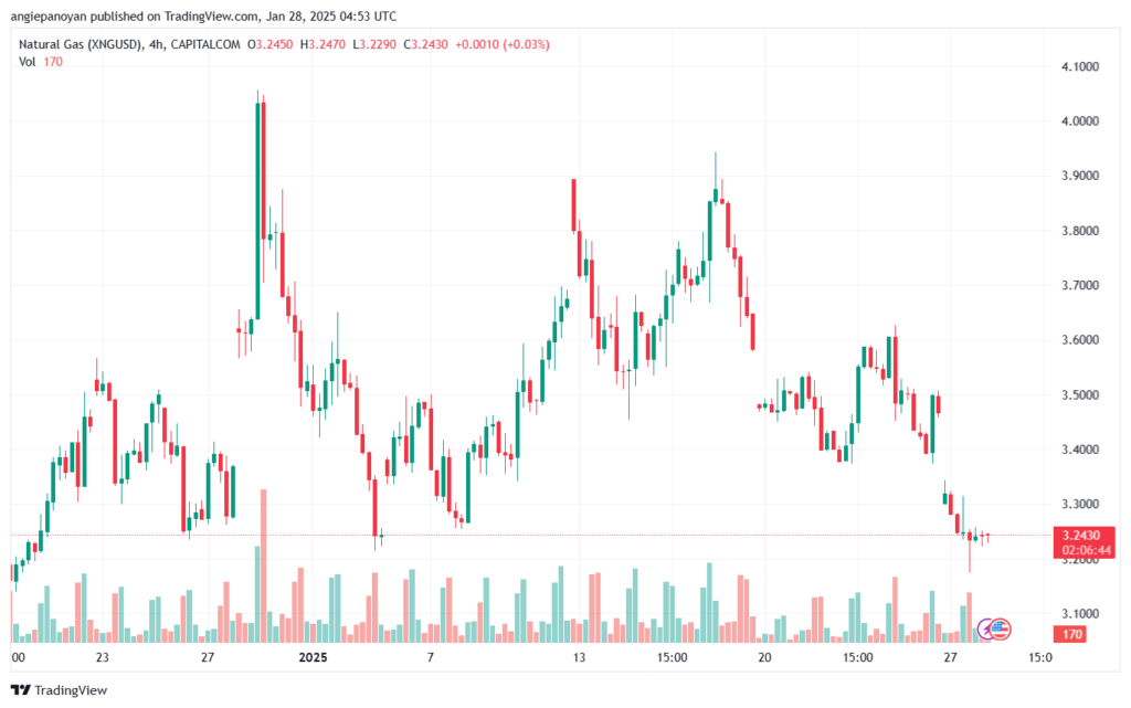 تحليل الغاز الطبيعي NATURAL GAS 28-1-2025
