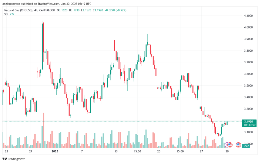 تحليل الغاز الطبيعي NATURAL GAS 30-1-2025