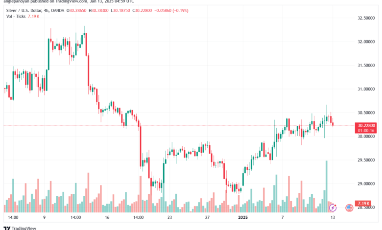 تحليل الفضة 13-1-2025 SILVER XAGUSD