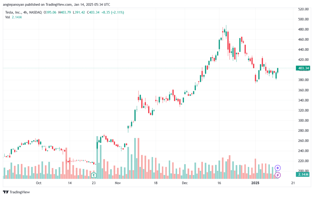 تحليل سهم تسلا الفني TSLA-14-1-2025