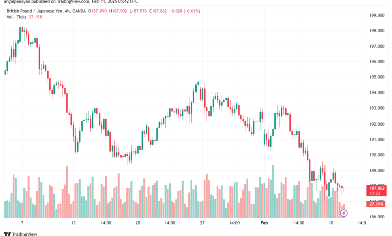 تحليل-GBPJPY-11-2-2025