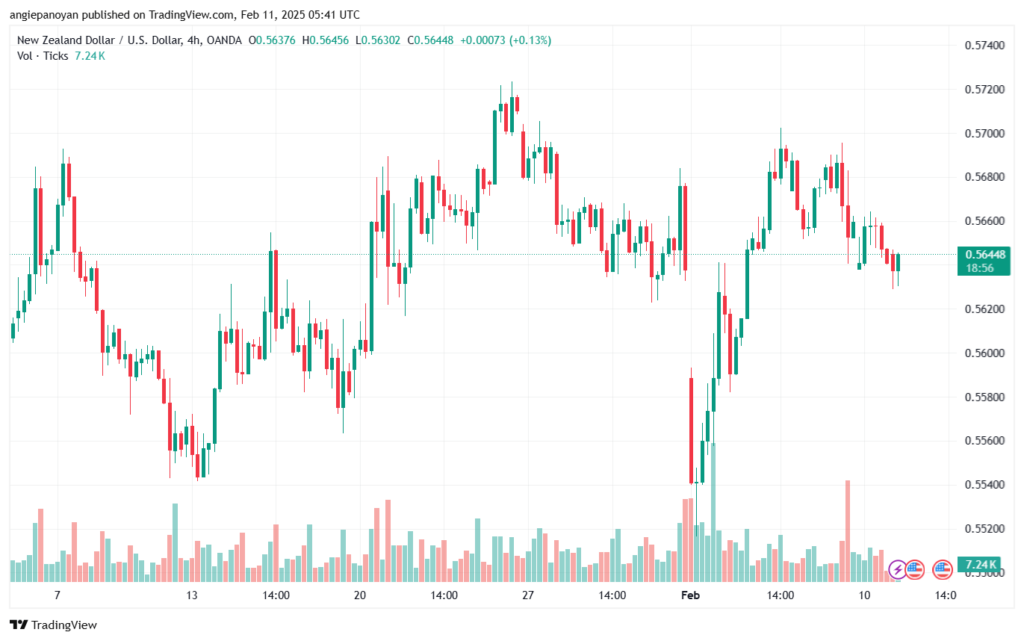 تحليل-NZDUSD-11-2-2025