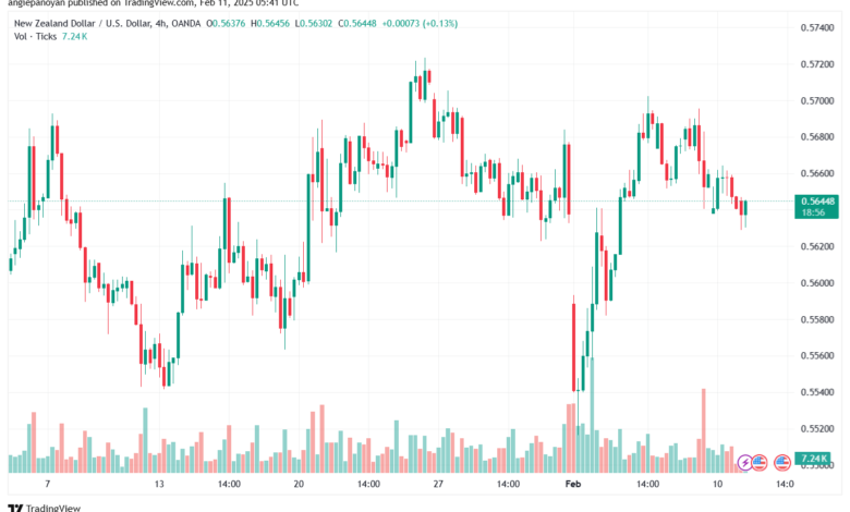 تحليل-NZDUSD-11-2-2025