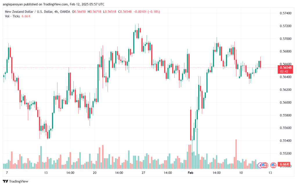تحليل-NZDUSD-12-2-2025