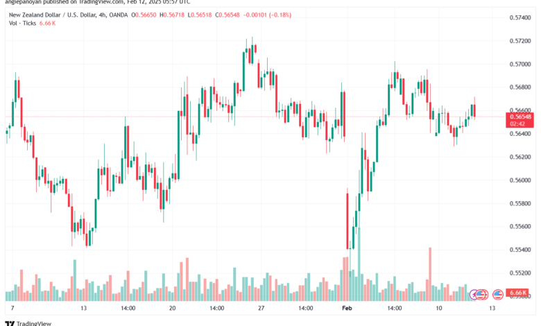 تحليل-NZDUSD-12-2-2025