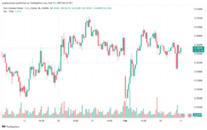 تحليل-NZDUSD-13-2-2025